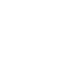  Knee Joint 